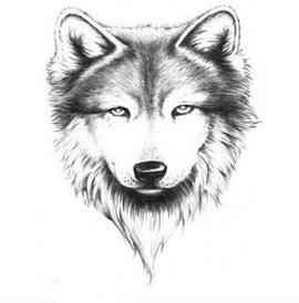 Sexy Wolf Body Tattoo